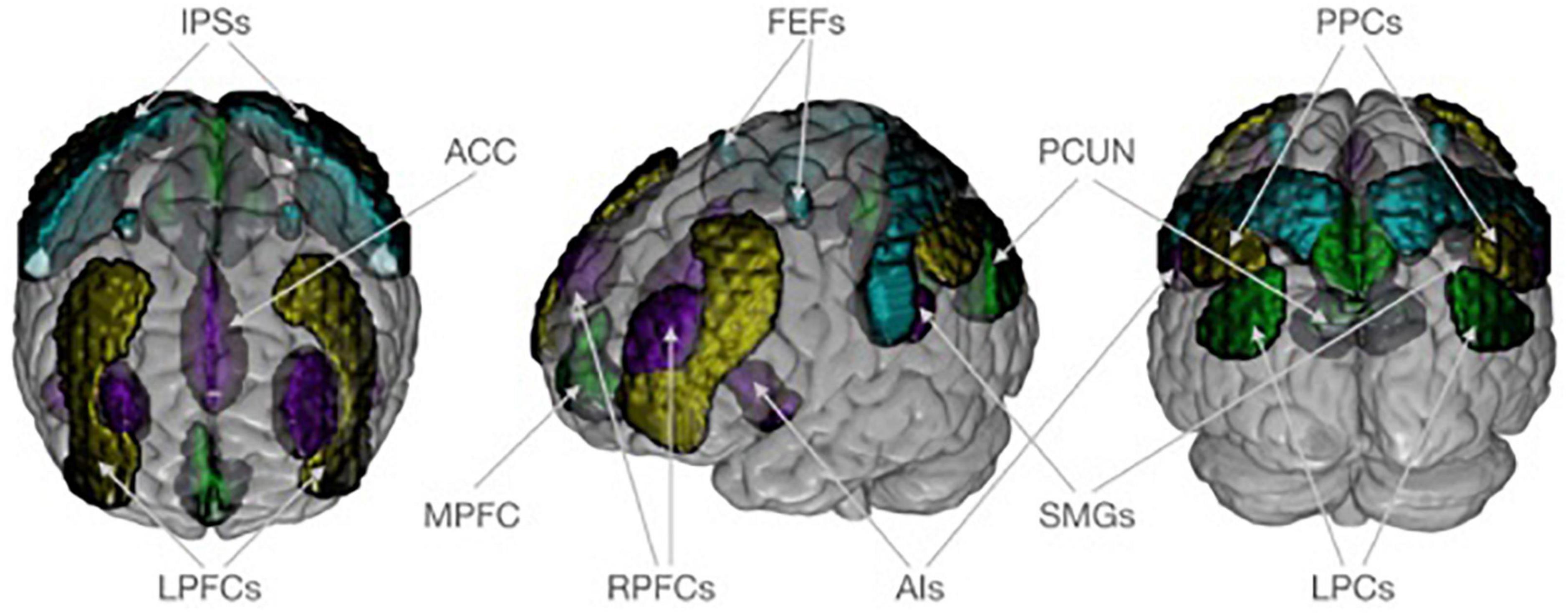 Brain network changes in adult victims of violence